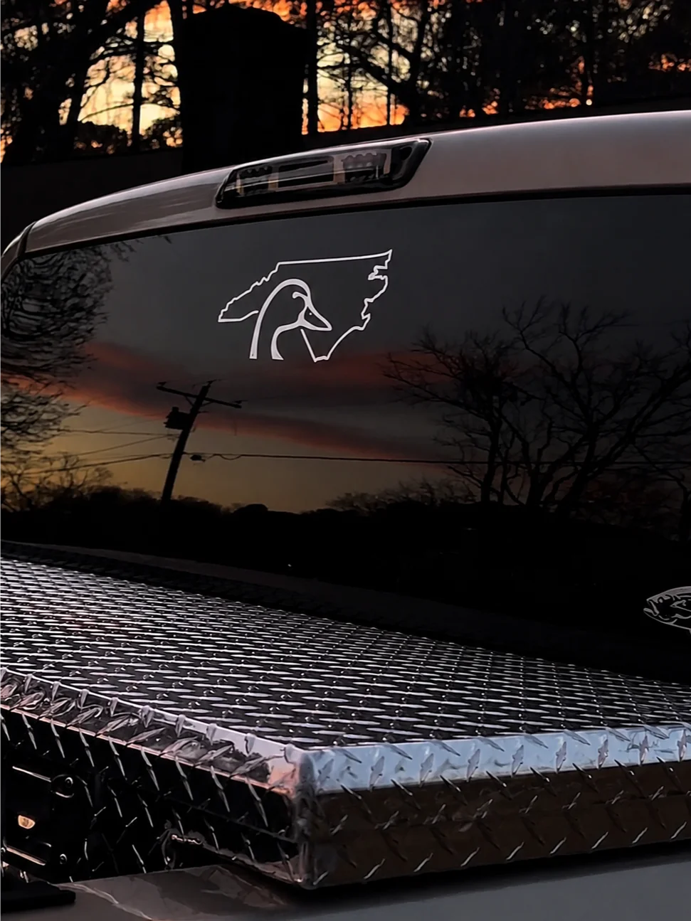 NC Duck Decal product image (1)