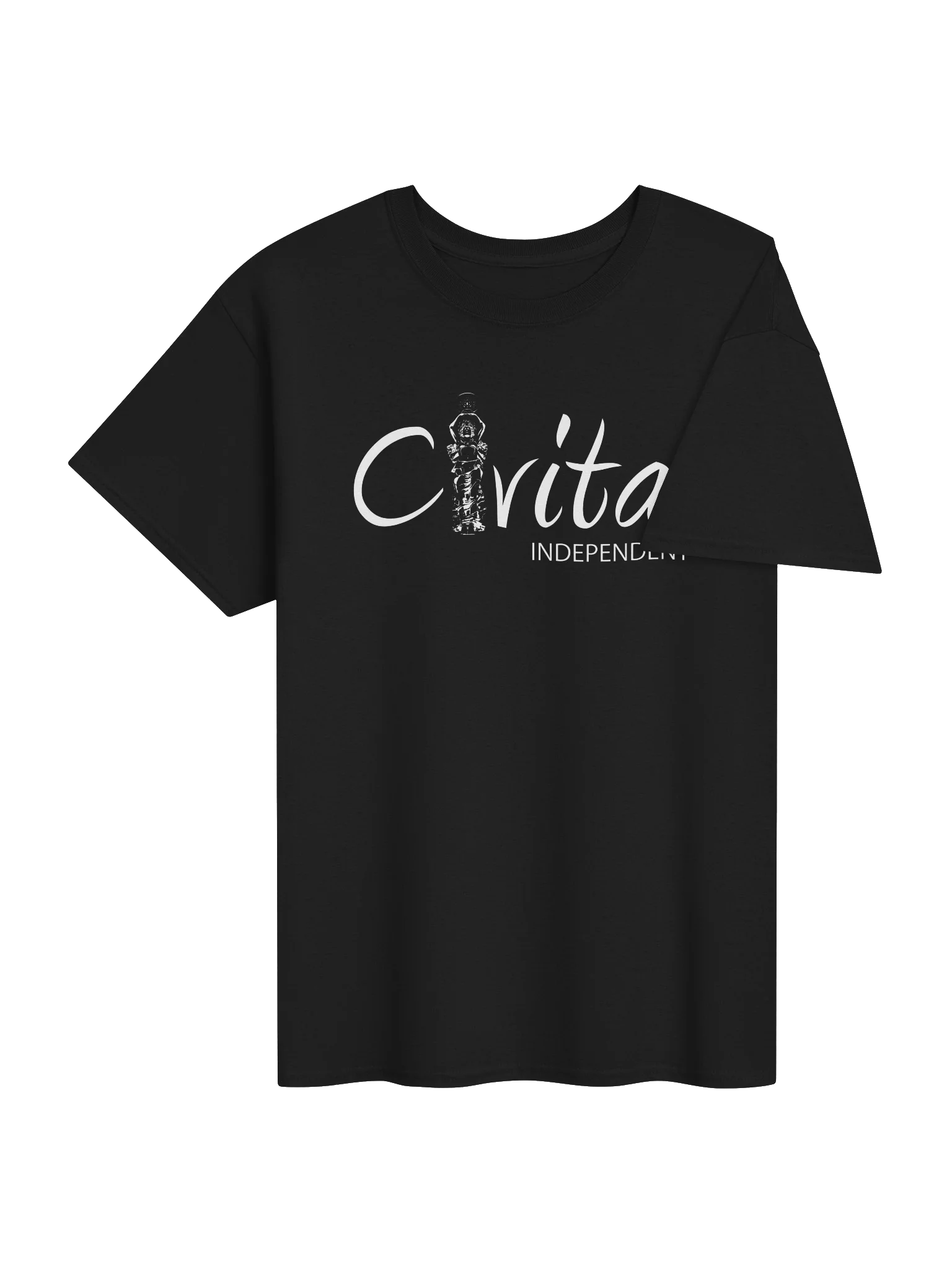 Logo T-Shirt (White Logo) product image (4)