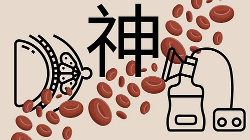 Personal Essay | If the blood is deficient, the spirit, or shen, cannot rest.

𝗙𝗶𝗻𝗱 𝗠𝗲𝗱𝘂𝘀𝗮 𝗥𝗶𝘀𝗶𝗻𝗴 𝗽𝗼𝘀𝘁𝘀 𝗮𝘁
Web: 𝗵𝘁𝘁𝗽𝘀://𝗯𝗶𝘁...