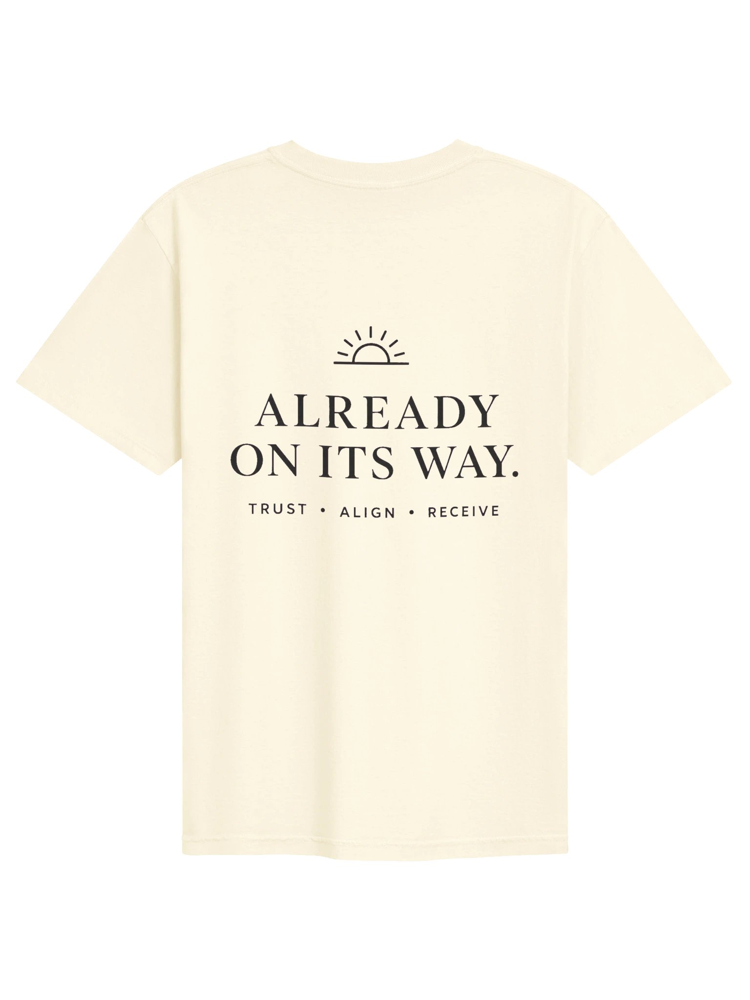 Already On Its Way — Garment-Dyed Tee product image (5)