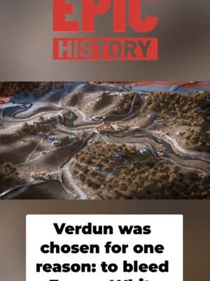 His plan wasn't to win the battle — it was to drain France of an entire generation. Falkenhayn's strategy at Verdun was pure, calculated horror. #Verdun #WW1 #GreatWar #BattleOfVerdun #MilitaryHistory #EpicHistory #HistoryTok #LearnOnTikTok #FYP #fypage