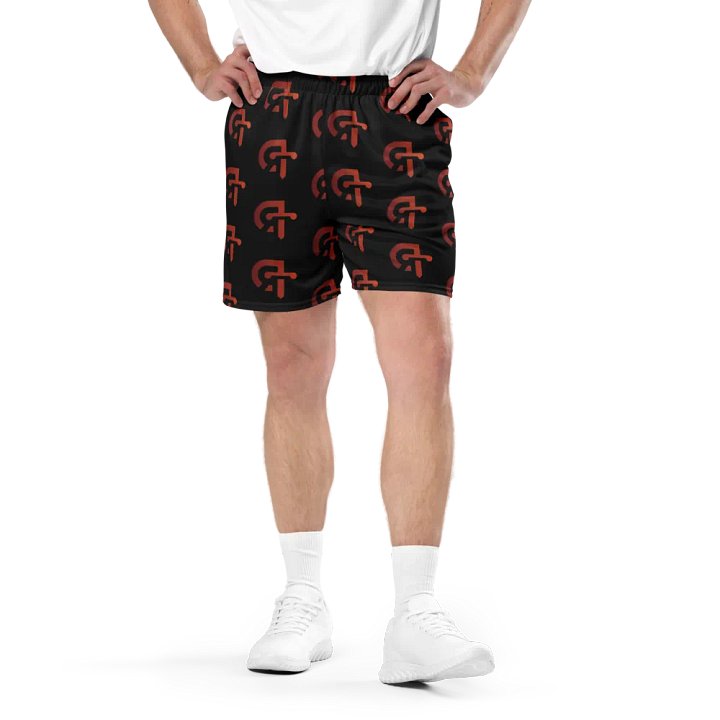 Dom's Roundtable Unisex Mesh Shorts product image (1)