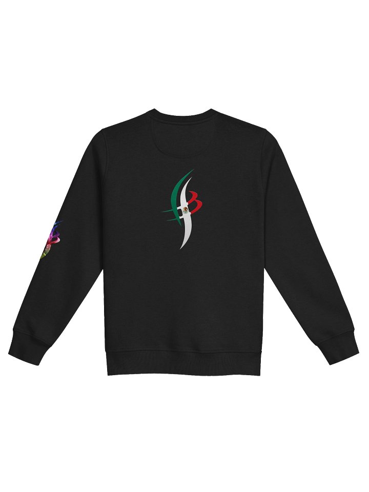 BEAM MEXICAN FLAG SWEATSHIRT UNISEX product image (9)