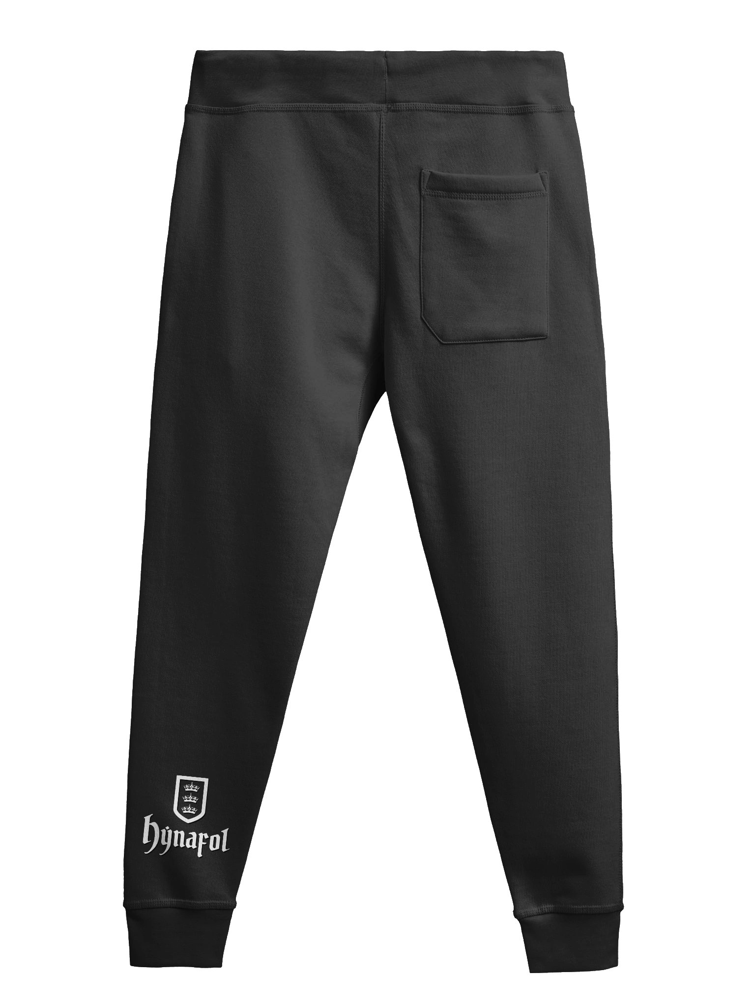 The Forgotten Hoard product image (2)