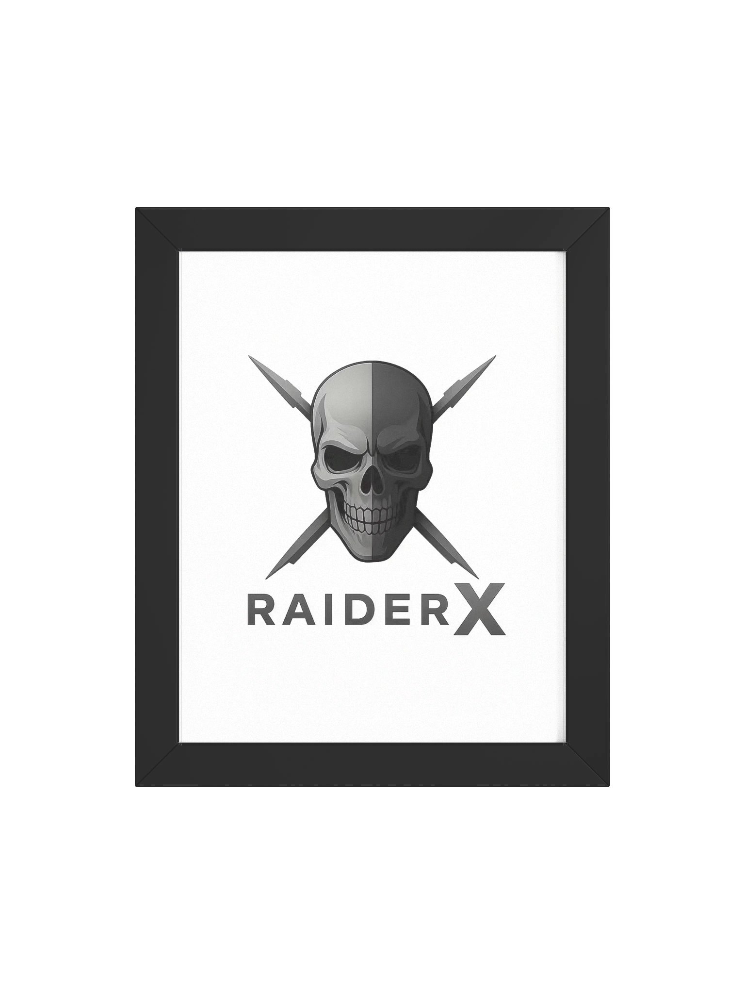 Raider-X product image (24)
