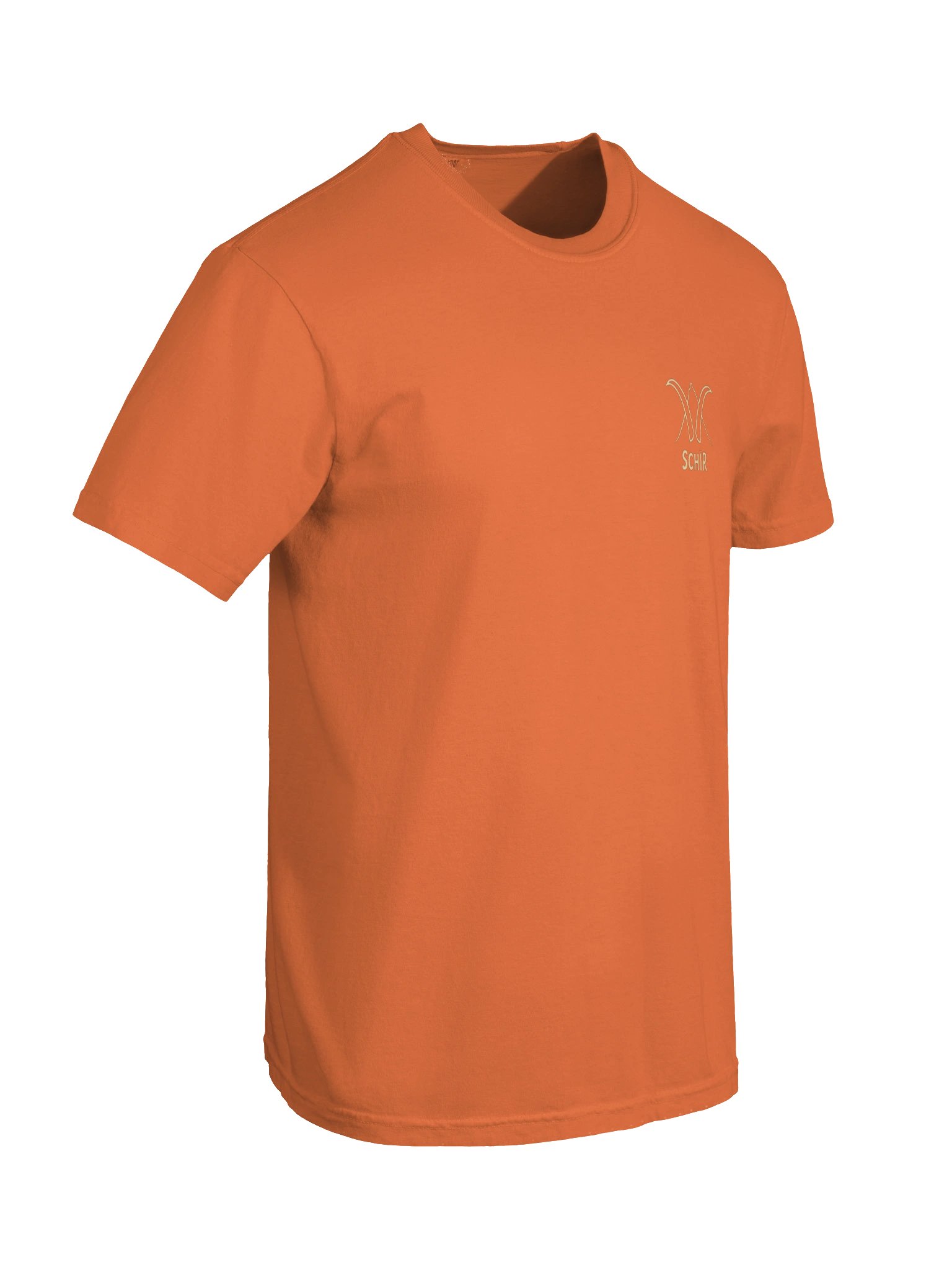 IBEX CRATE TEE product image (6)
