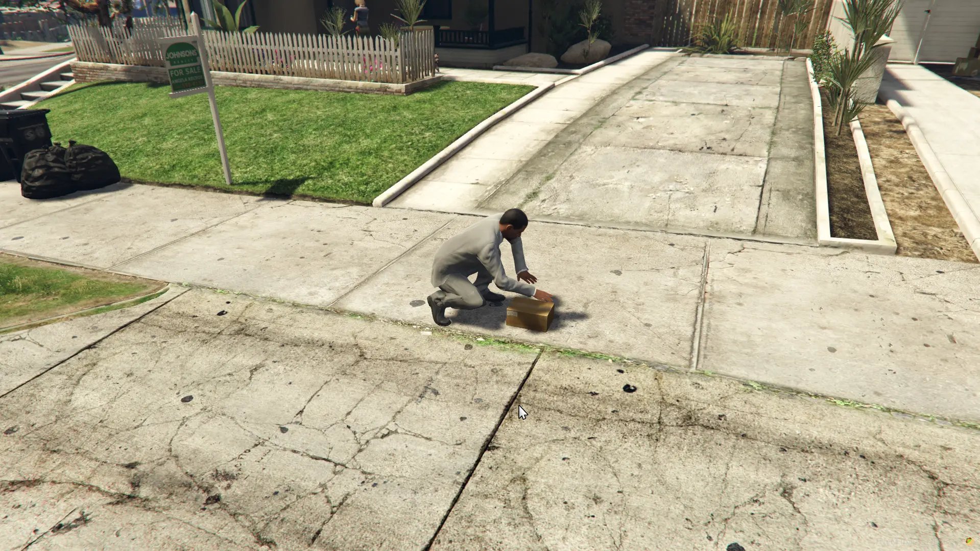 Petty Crimes V2 | Smash ‘n Grab to Street Theft [ QBCore / ESX / QBOX ] product image (1)