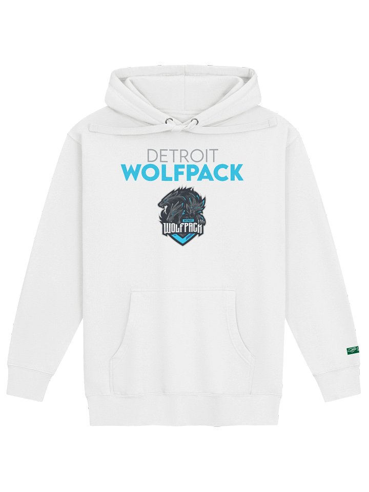 Detroit Wolfpack Wordmark Hoodie product image (1)