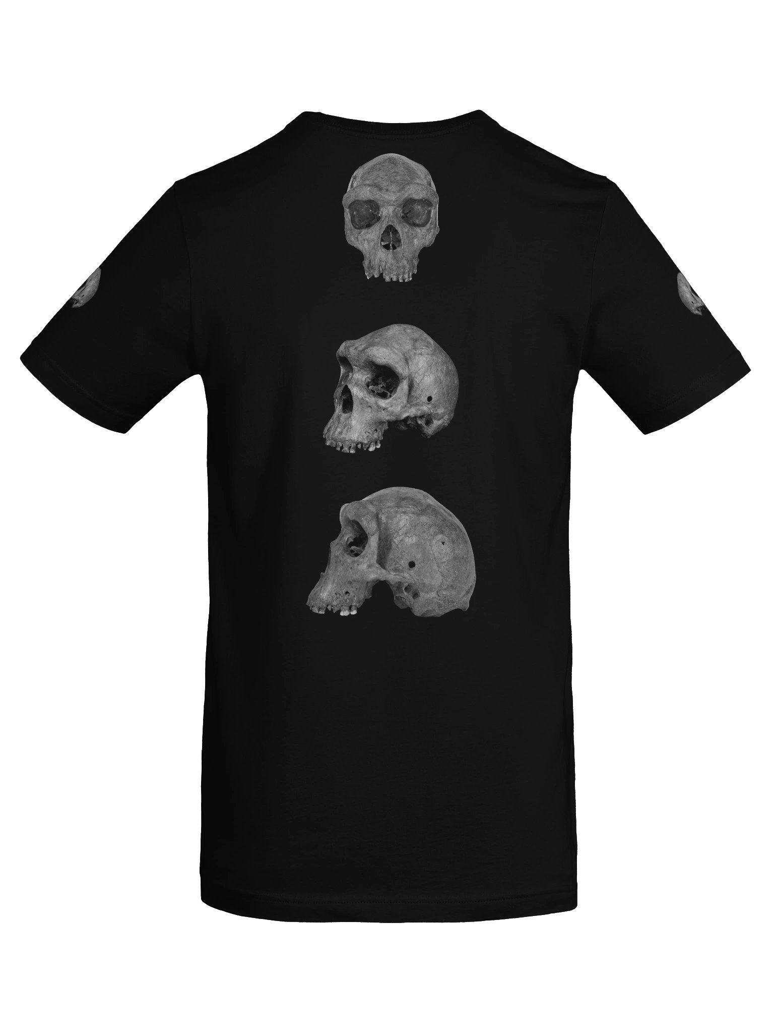 Heidelbergensis Fossil Skull T-Shirt Dark product image (36)