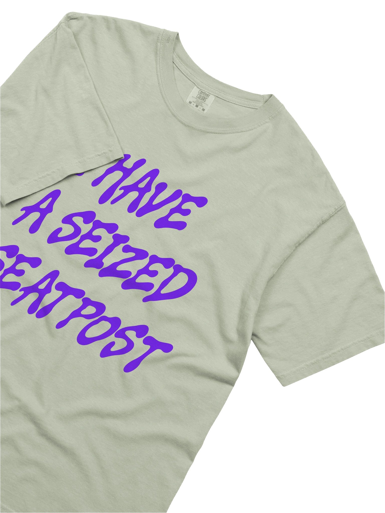 I Have a Seized Seatpost Tee product image (1)