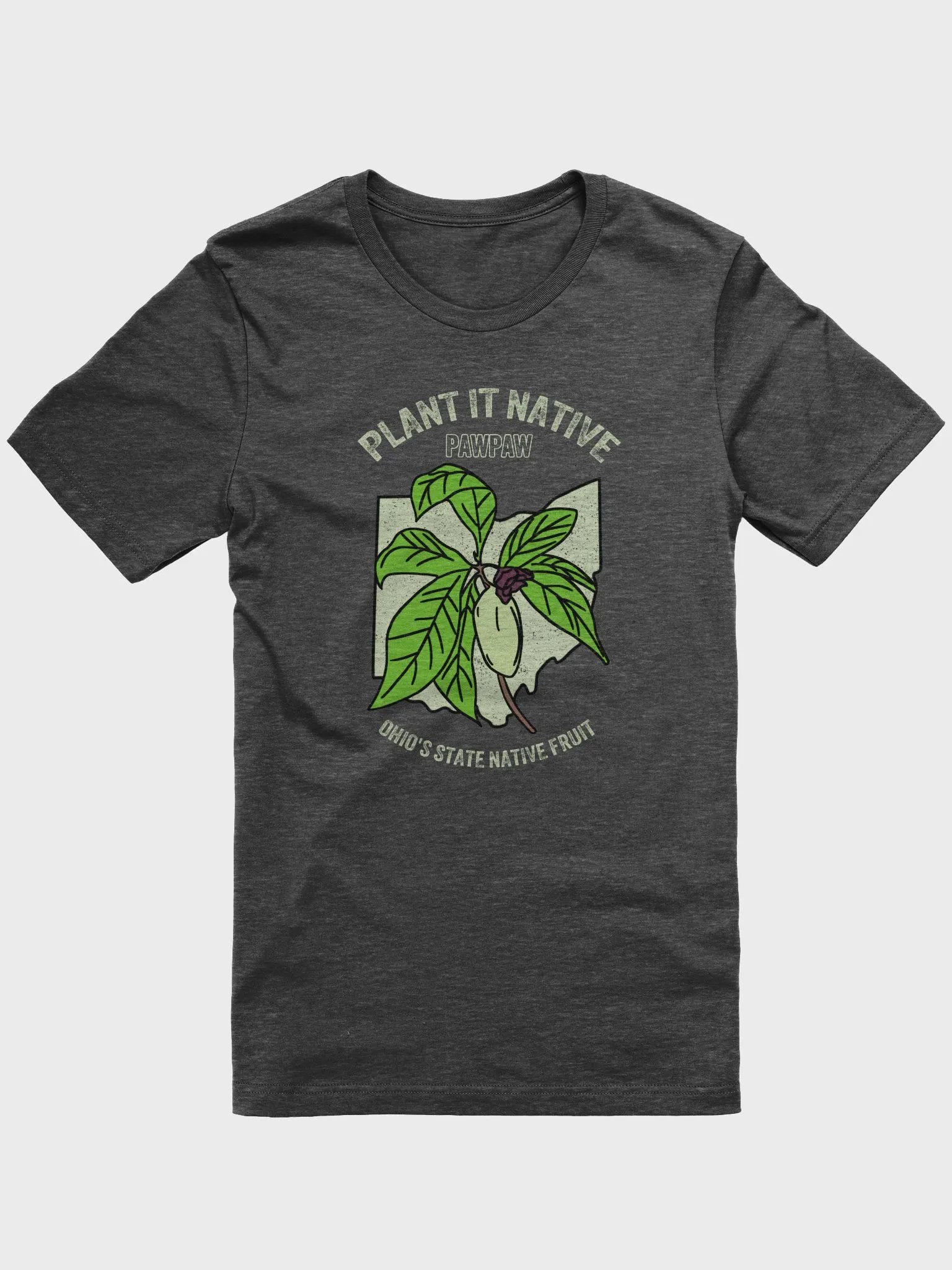 Plant It Native Pawpaw 1 product image (1)