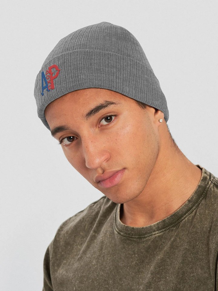 AP Ribbed Beanie product image (7)