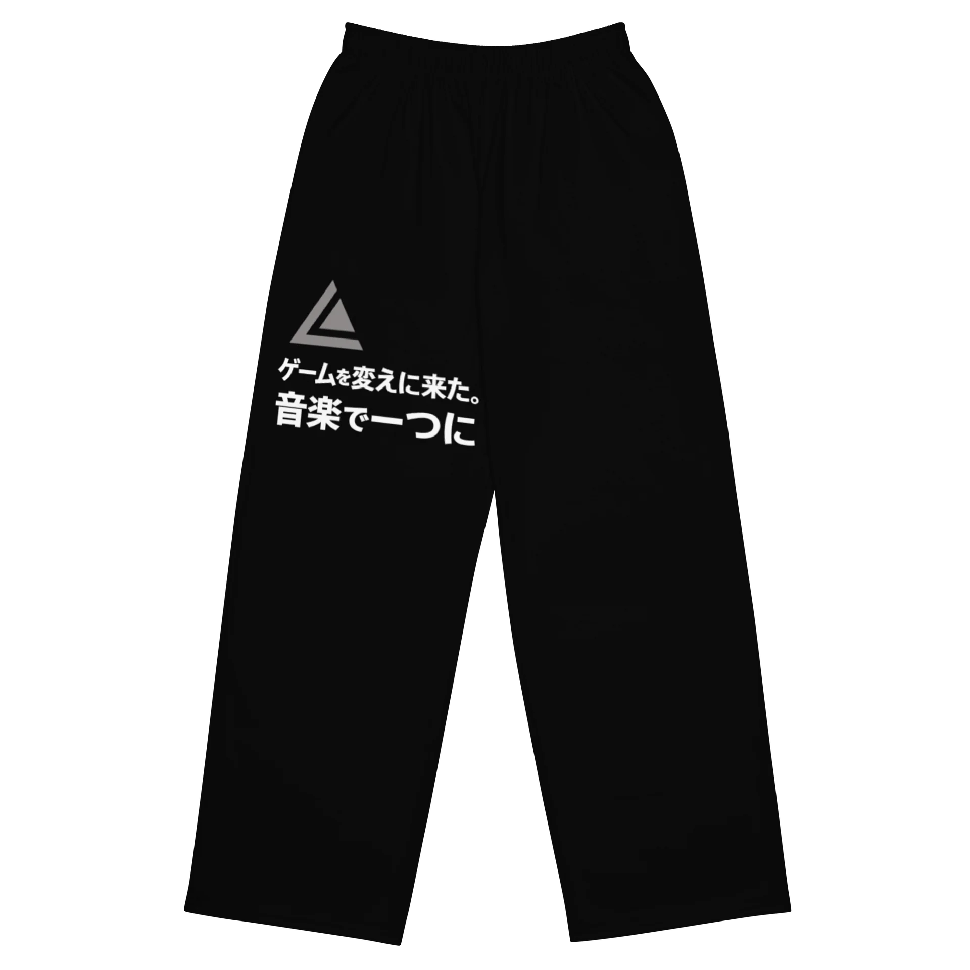 UNISEX WIDE-LEG PANTS - LEANDRO DE LA VEGA - WE CAME TO CHANGE THE GAME JAPAN product image (5)