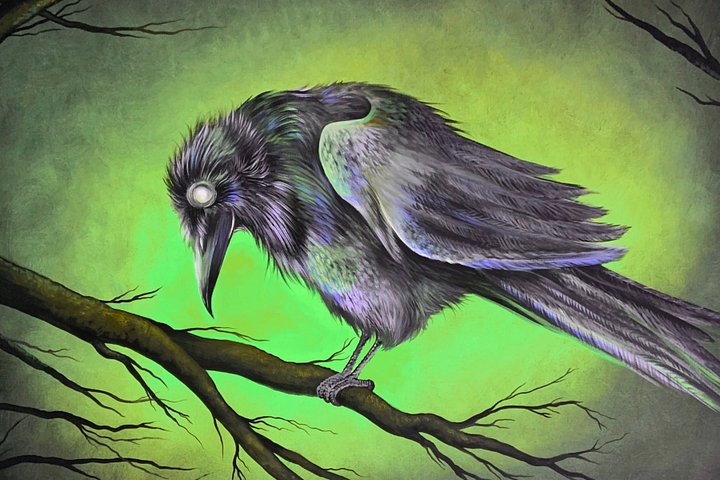 Macawbre 4" x 6" Glossy Sublimation Print product image (1)