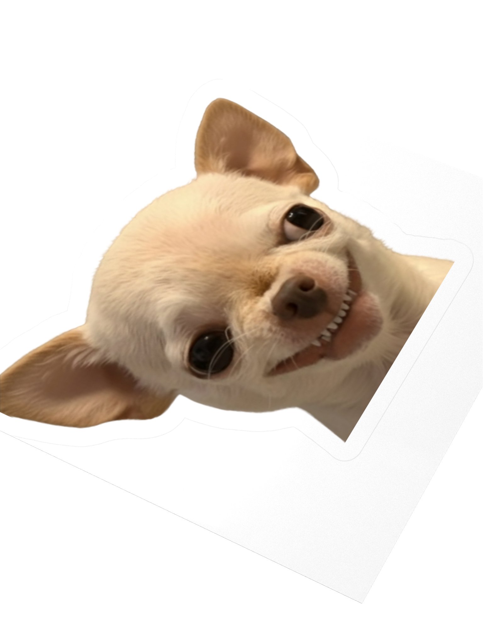 Evil Dog Sticker product image (8)
