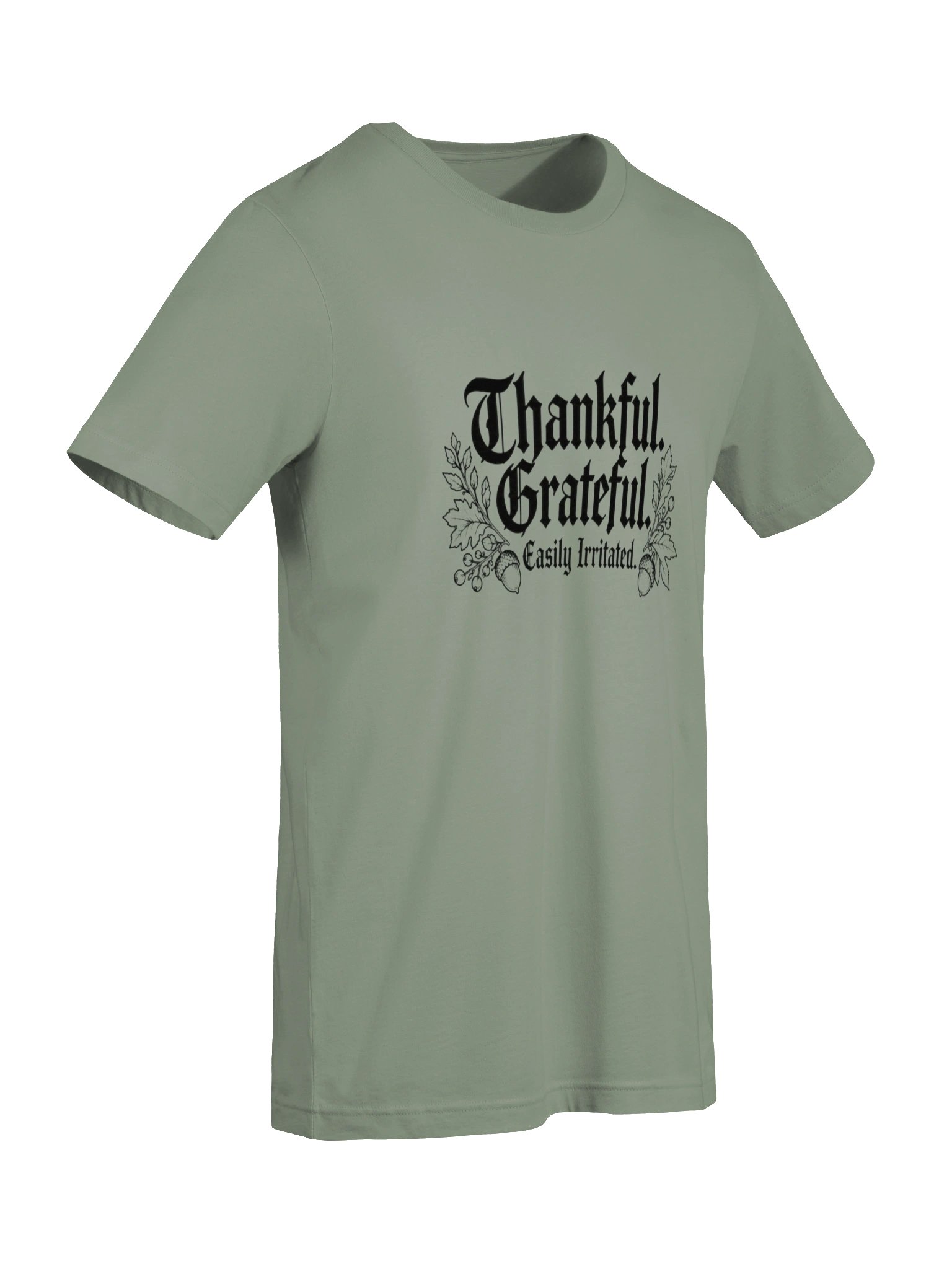 Thankful. Grateful. Easily Irritated. | Funny Thanksgiving T-Shirt product image (8)