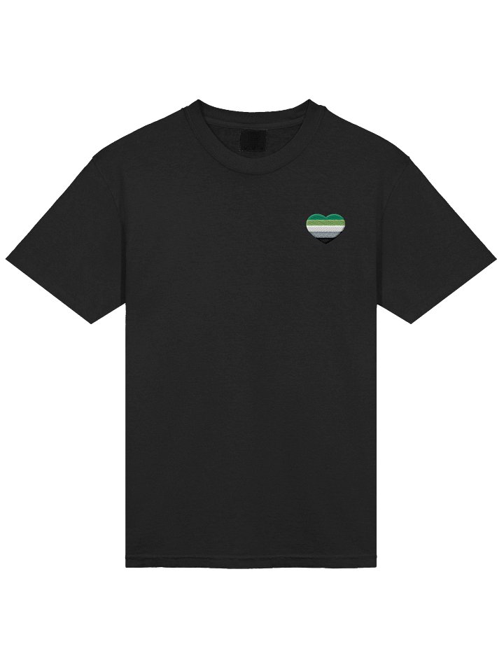 Aro Pride Embroidered T-Shirt product image (1)