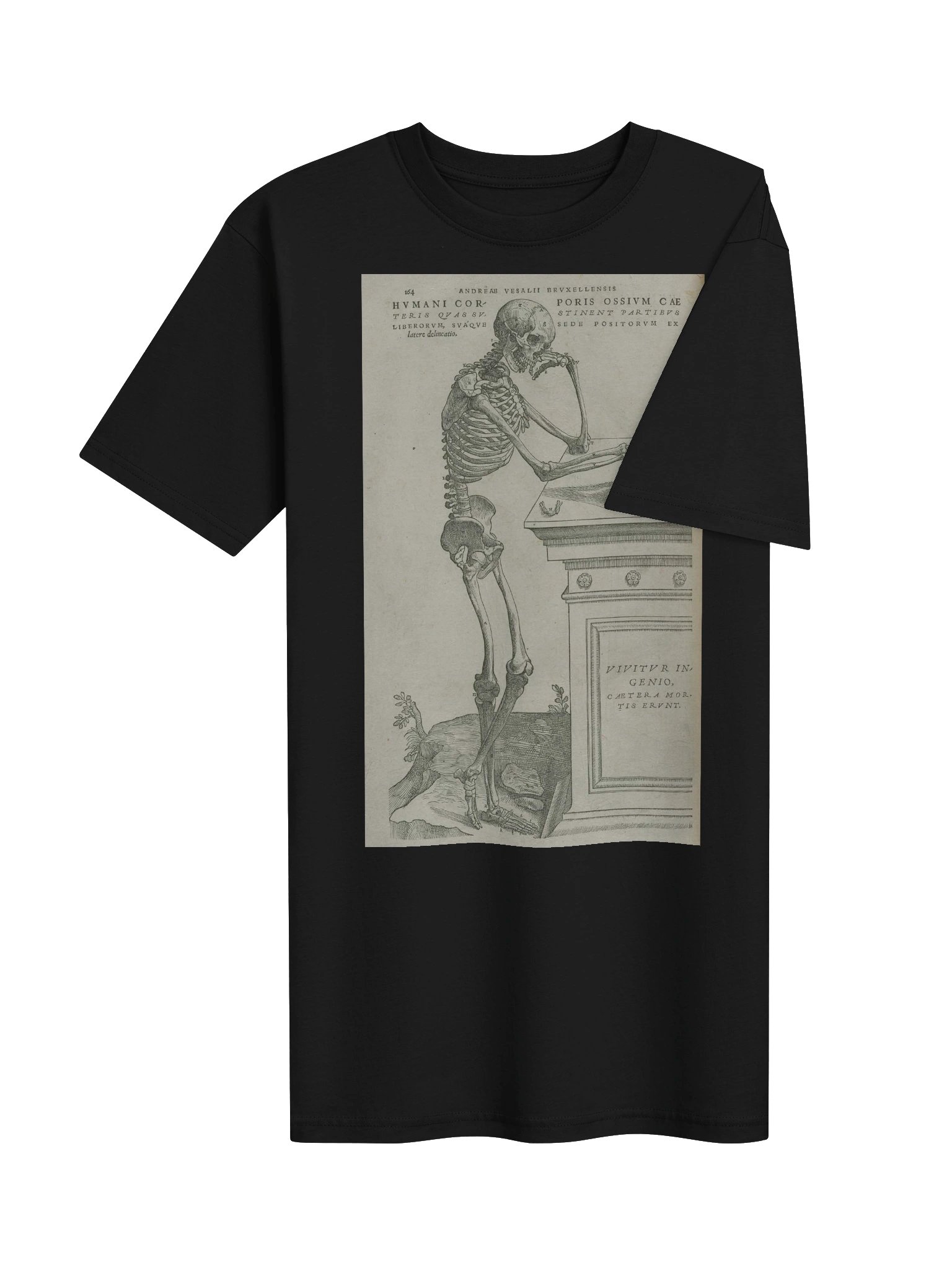 "Skeleton Pondering Mortality" by Andreas Vesalius. product image (4)
