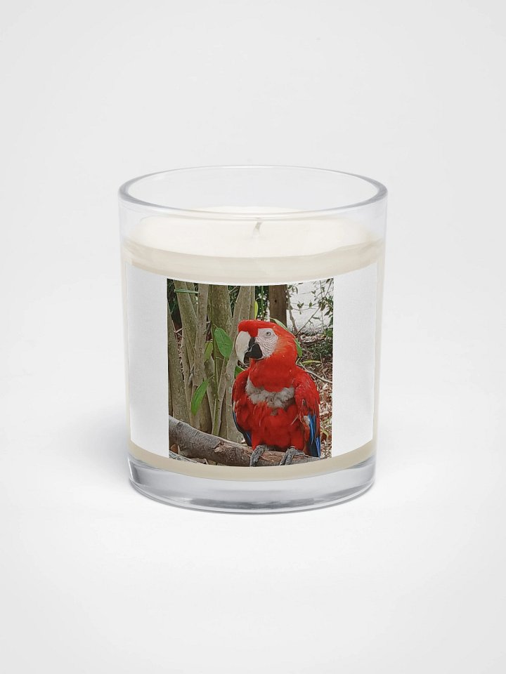 Vibrant Parrott Soy Wax Candle product image (1)