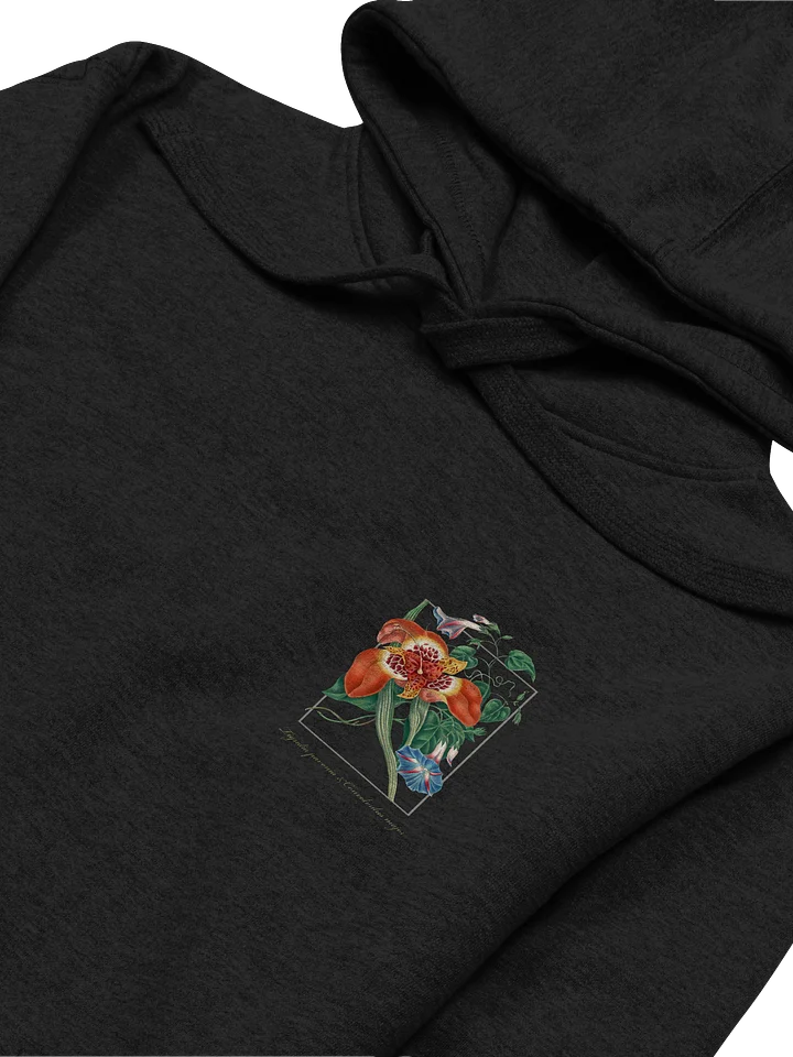 Mexican Tiger Flower and convolvulus - Adult Unisex Hoodie product image (2)