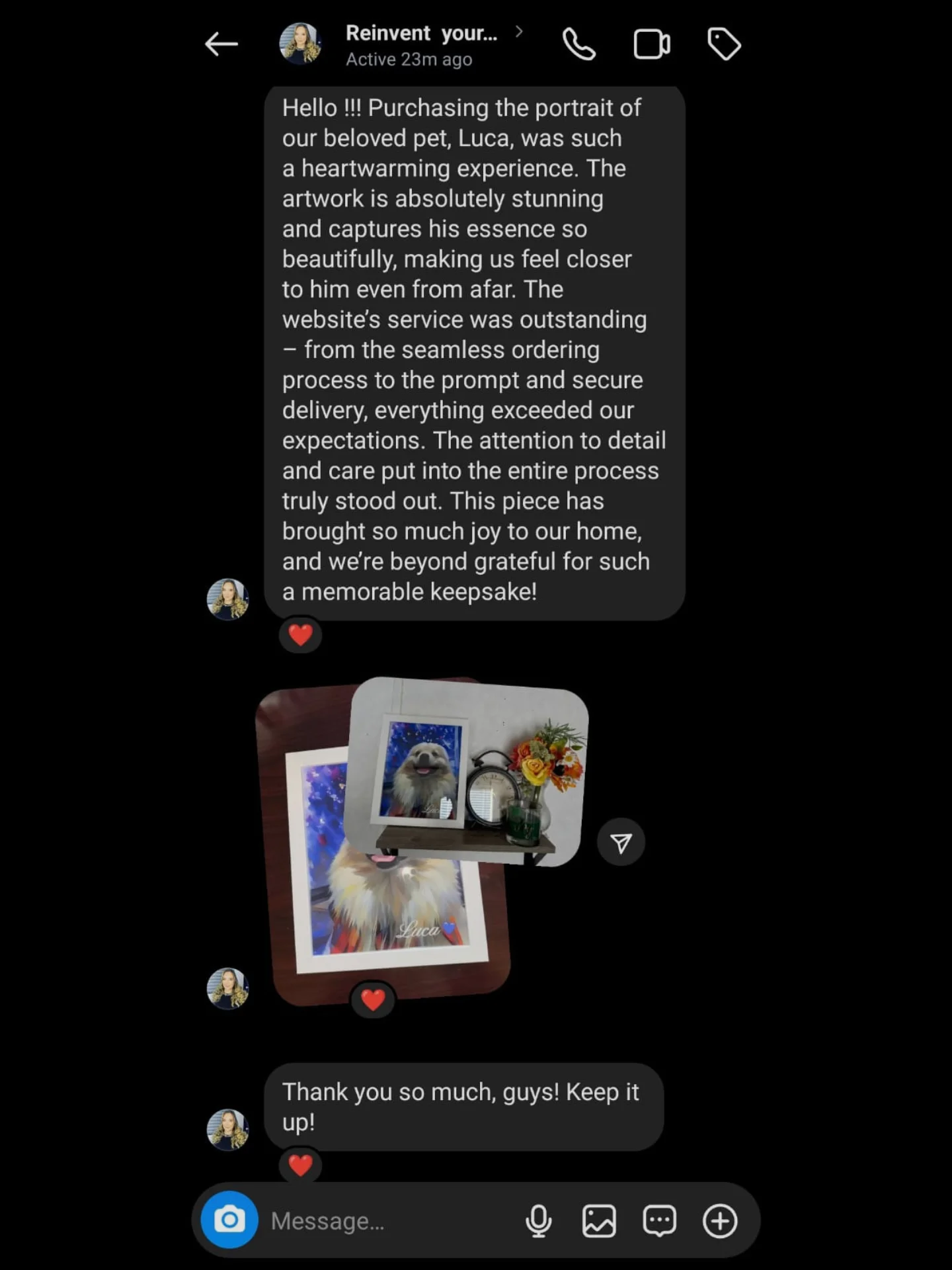 KNOW LUCA’S STORY💙 FRAMED PET ART / HIGH-QUALITY PRINT product image (5)