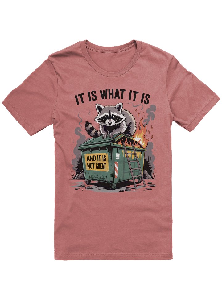 It Is What It Is (And It’s Not Great) Unisex T-Shirt product image (13)