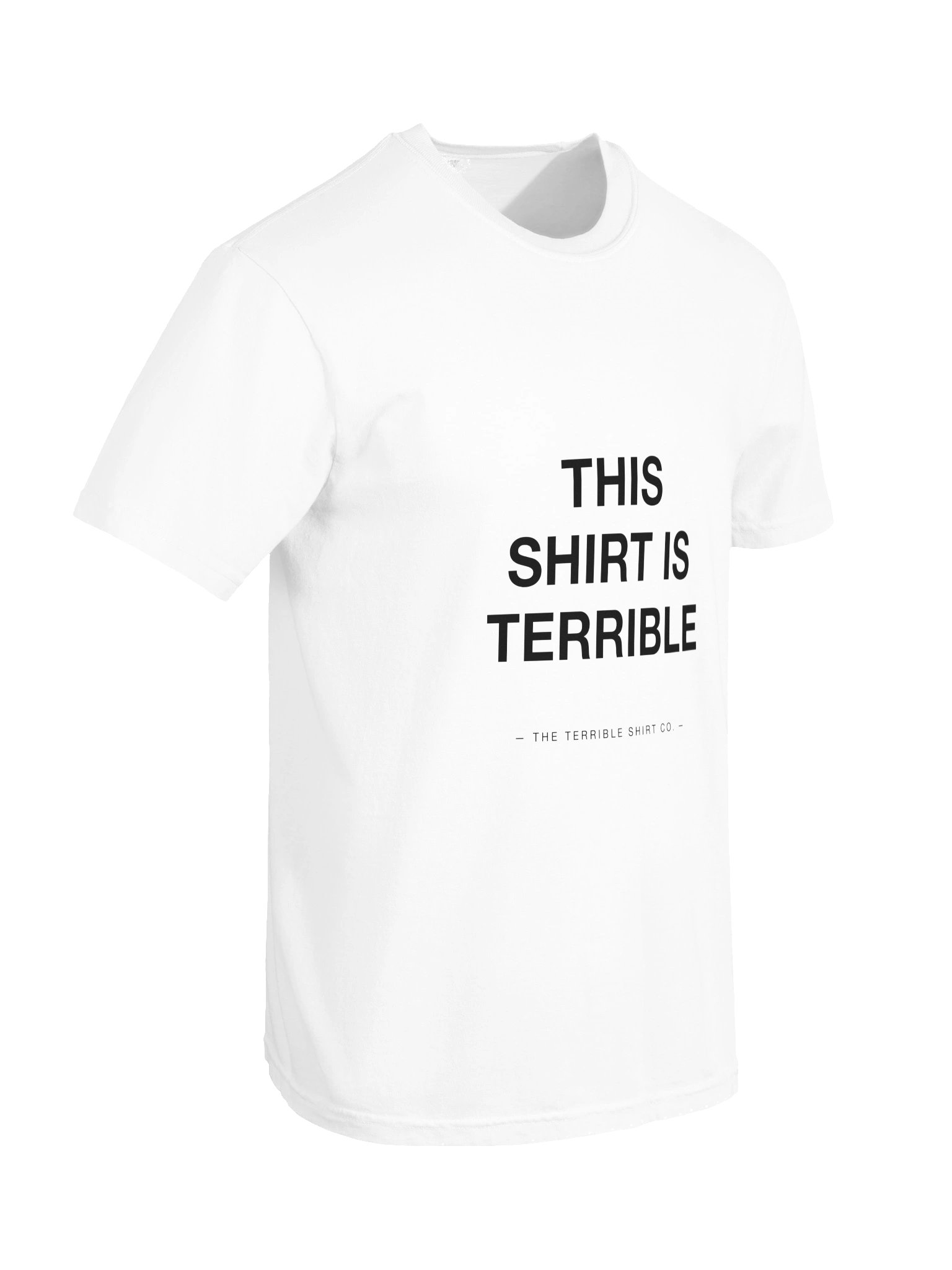 "This Shirt Is Terrible" — The Flagship product image (6)