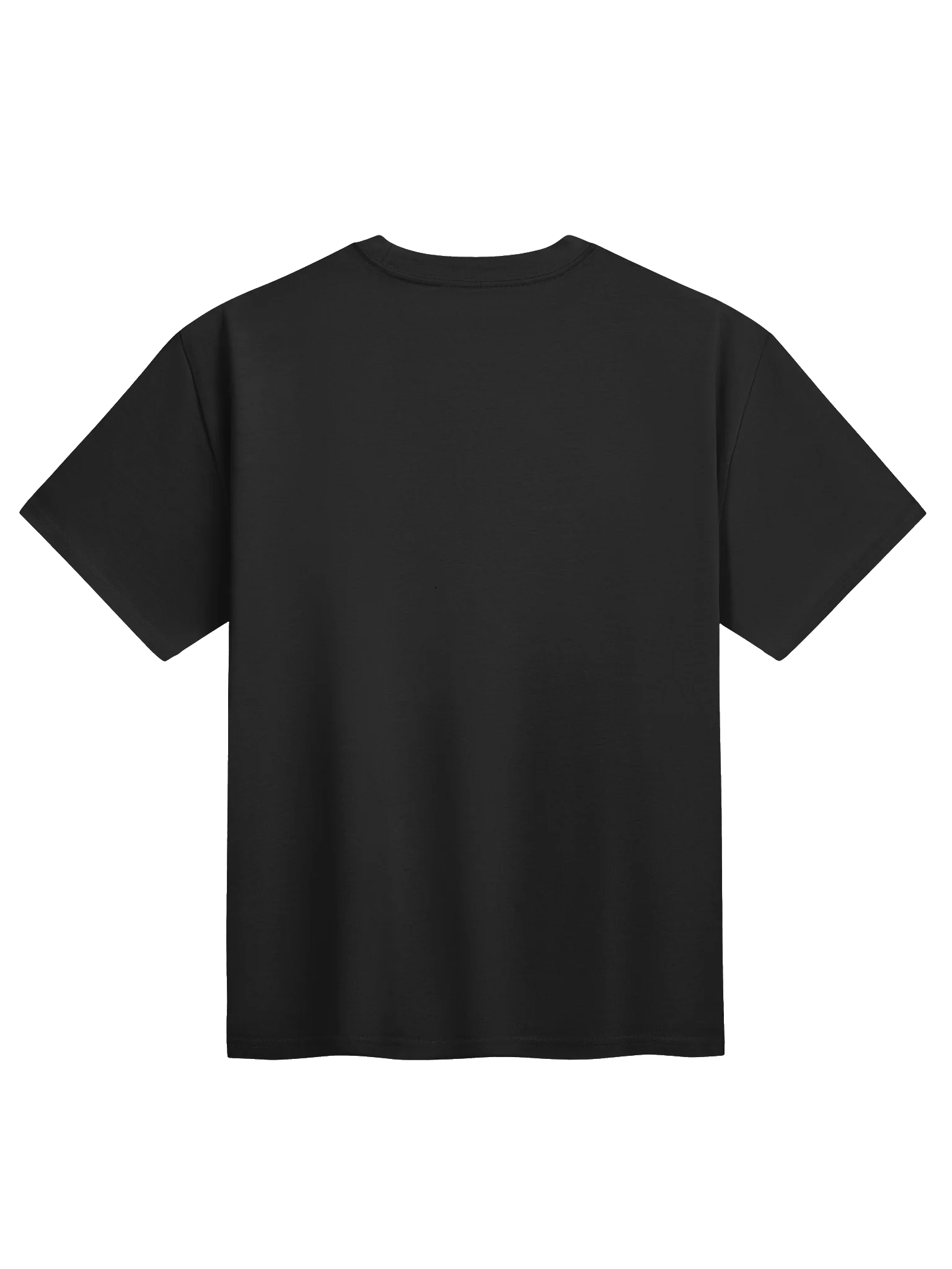 DEER ISLE CHAMPIONS 2026 - CHAMPIONSHIP TEE product image (2)