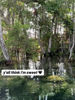 she look innocent until she start showing you around 😮‍💨  Three Sisters got that side of her she doesn’t show everybody. Most people see the crystal-clear water. The real ones keep paddling. Florida springs are weird, beautiful, wild, and occasionally a little freaky. This is the side that makes you forget what you came here for.  #floridasprings #parktok #florida #thewetterthebetter #springtok