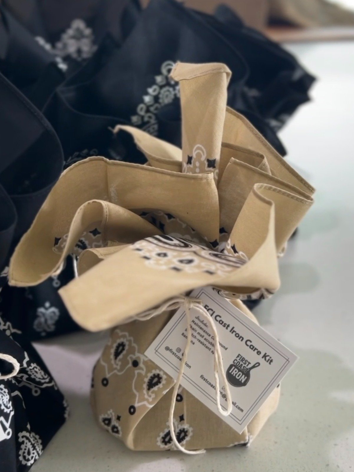 FCI Cast Iron Care Kit product image (3)