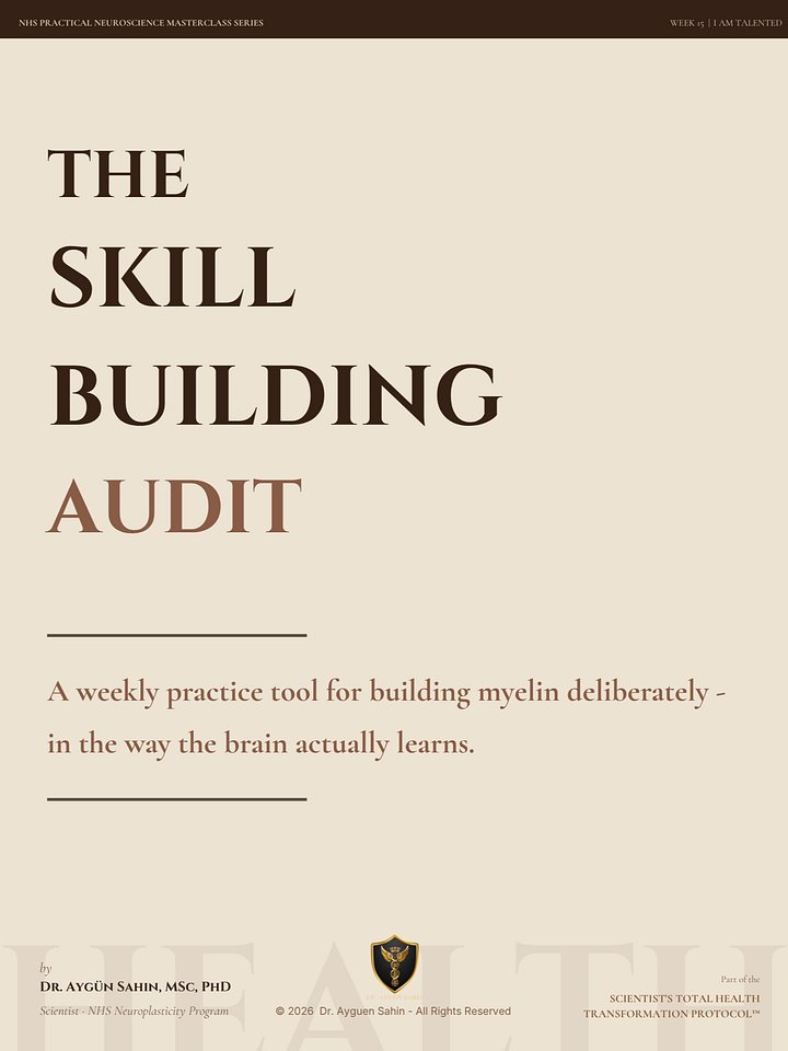 SKILL BUILDING AUDIT product image (1)