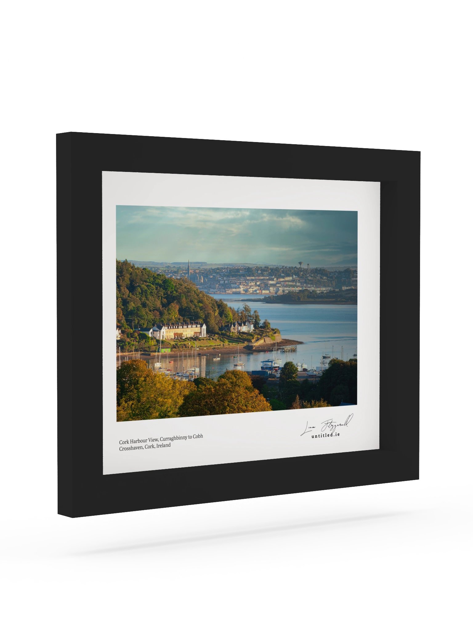 Cork Harbour View - Curaghbinny to Cobh product image (2)