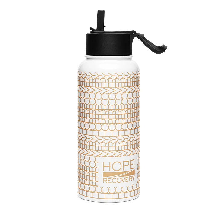 Stainless Steel Water Bottle with a Straw Lid product image (1)