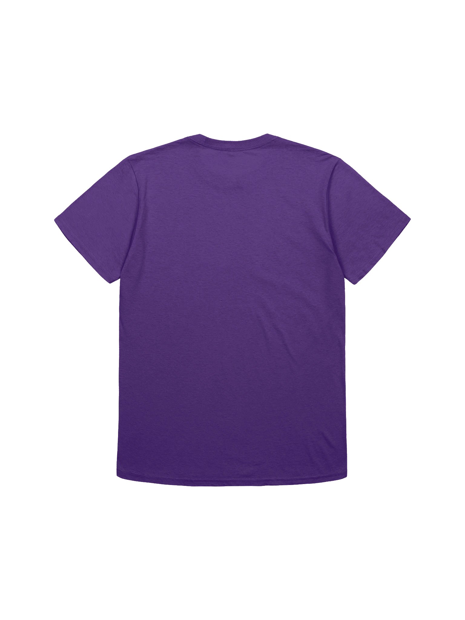 Dia de Muertos Parrot Design T-Shirt product image (17)