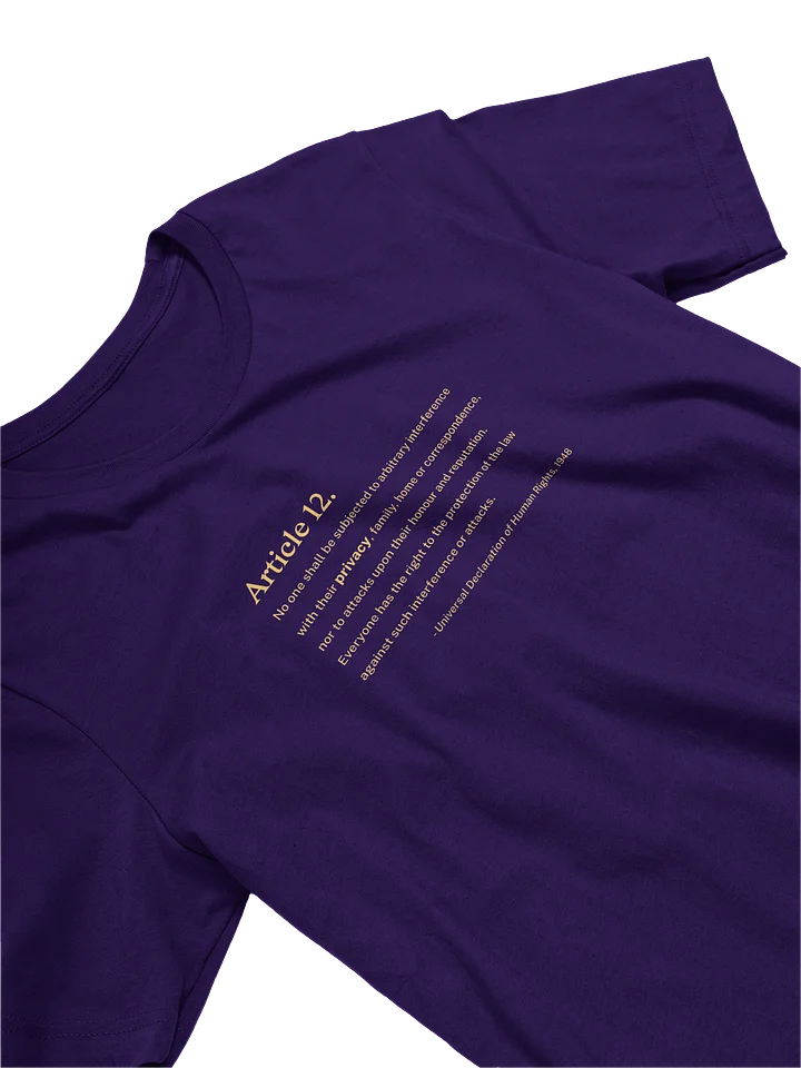 Article 12 - Supersoft T-Shirt (Bella+Canvas) product image (2)