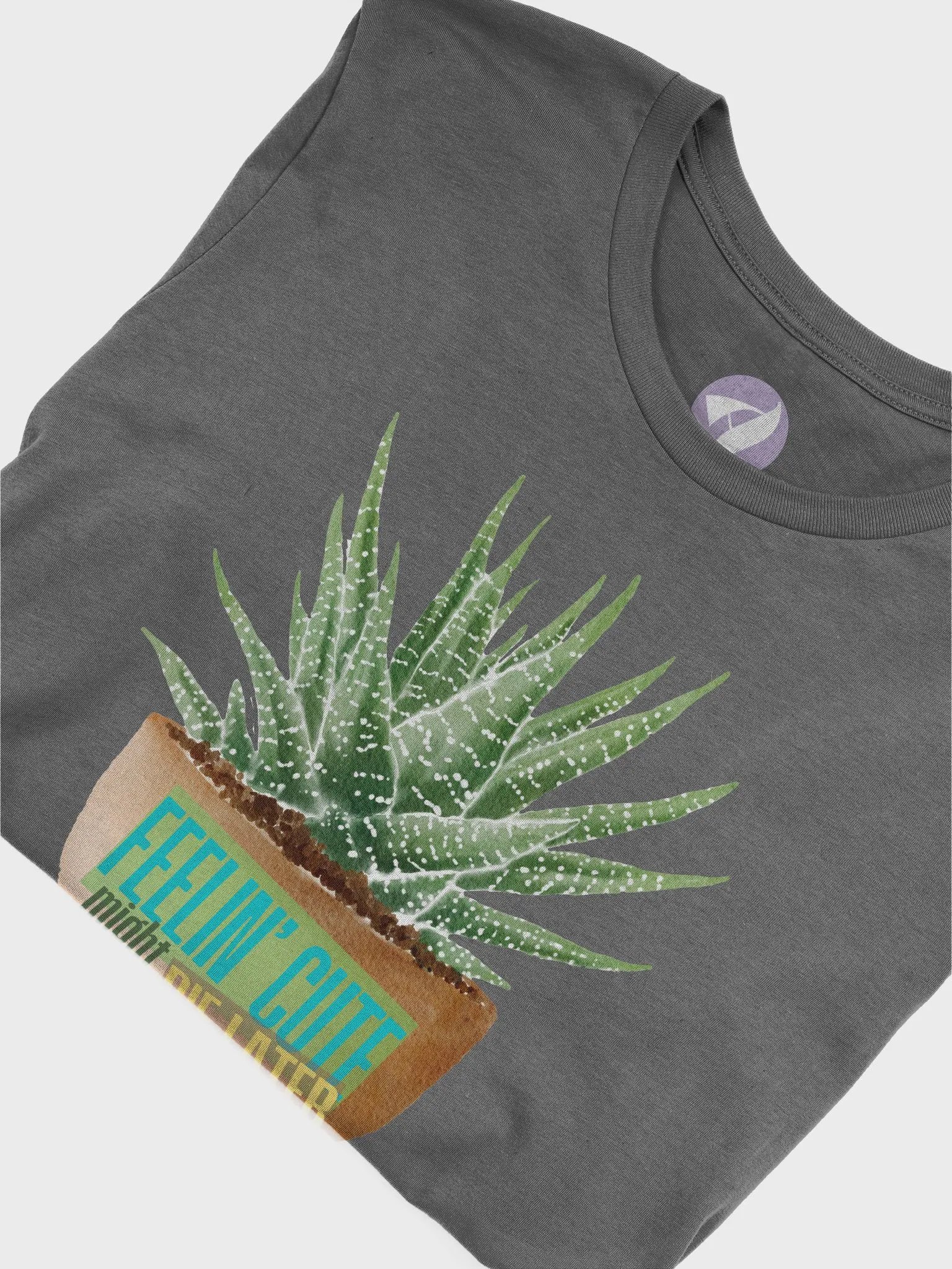 Feelin' Cute Cactus Tee product image (40)