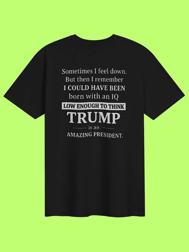 Sometimes I Feel Down I Could Have Been Trump Shirt product image (152)