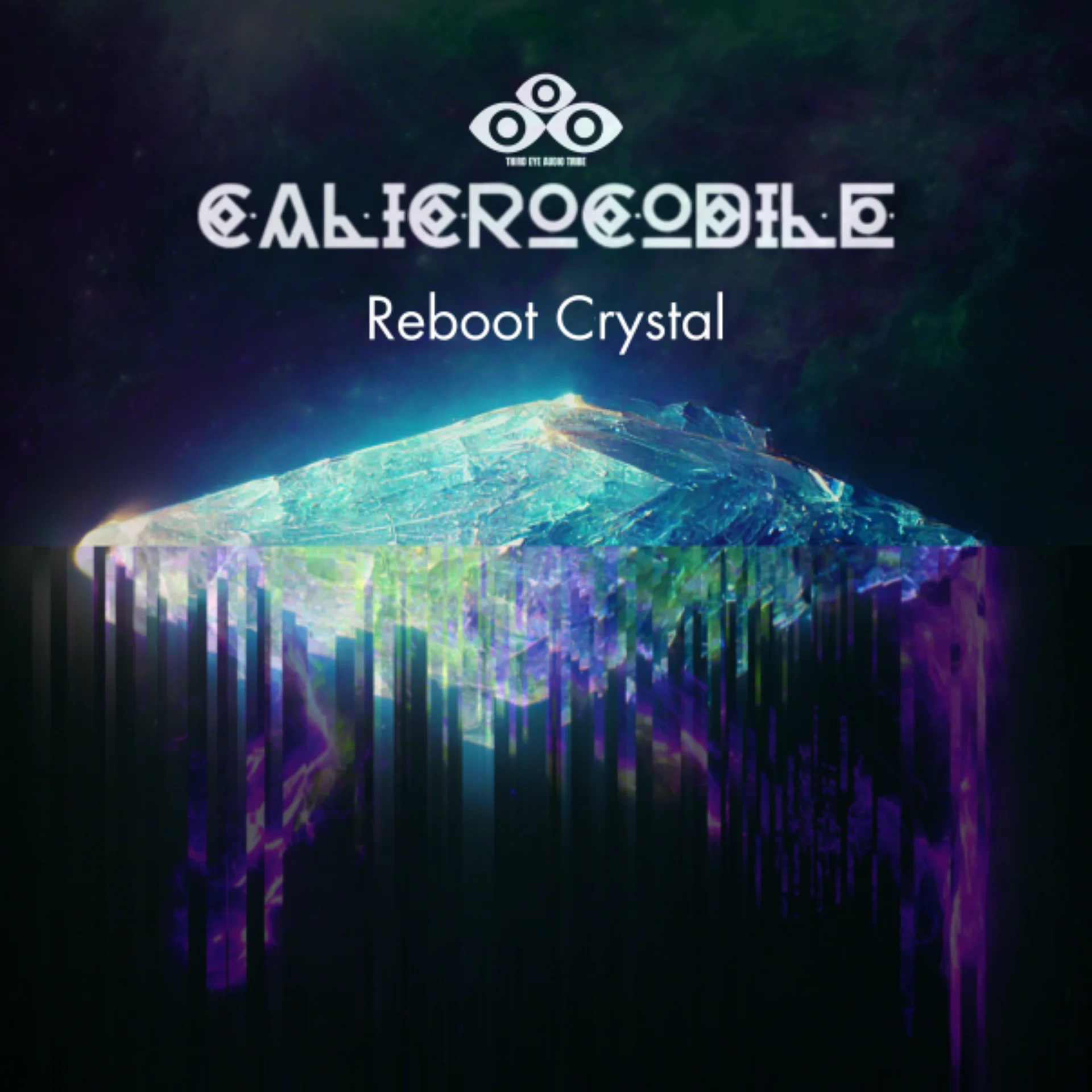 The Reboot Crystal Project + 2023 [FULL YEAR BUNDLE] product image (3)
