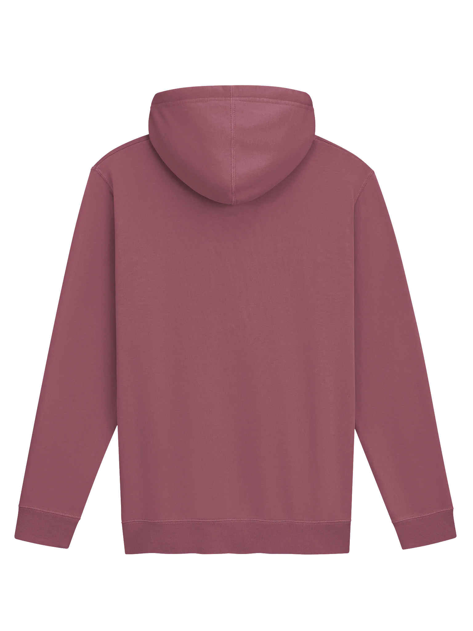 Ecamm Fam Vintage Hoodie product image (10)