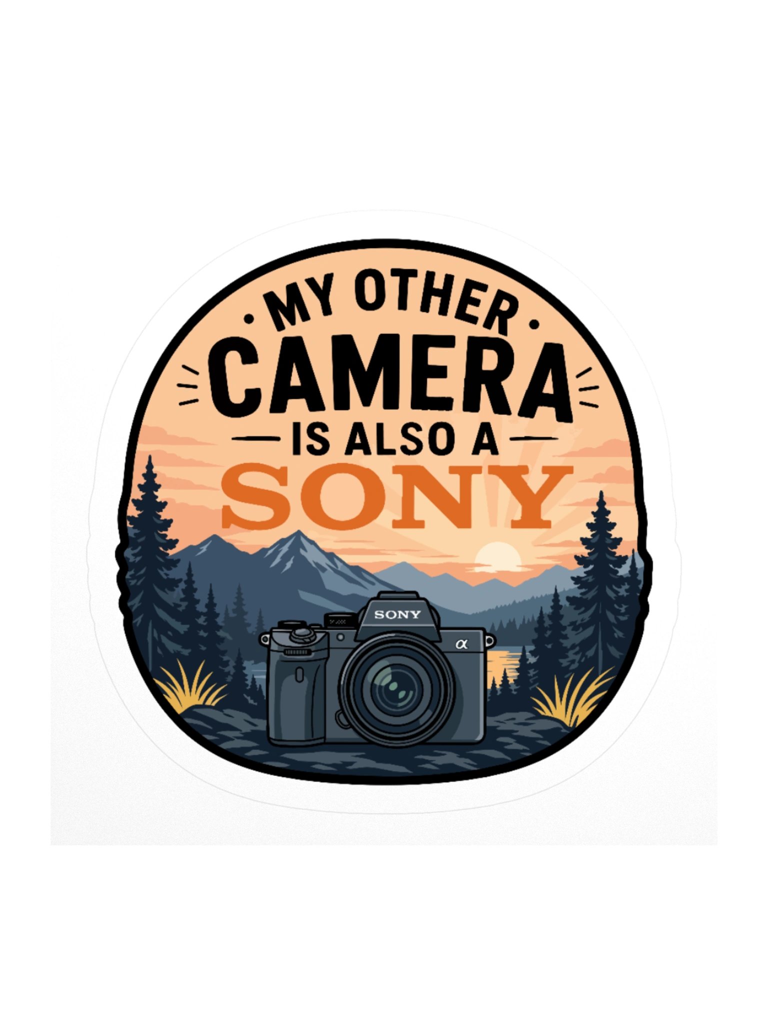My Other Camera is Also a Sony product image (2)