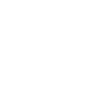 VYZO FX