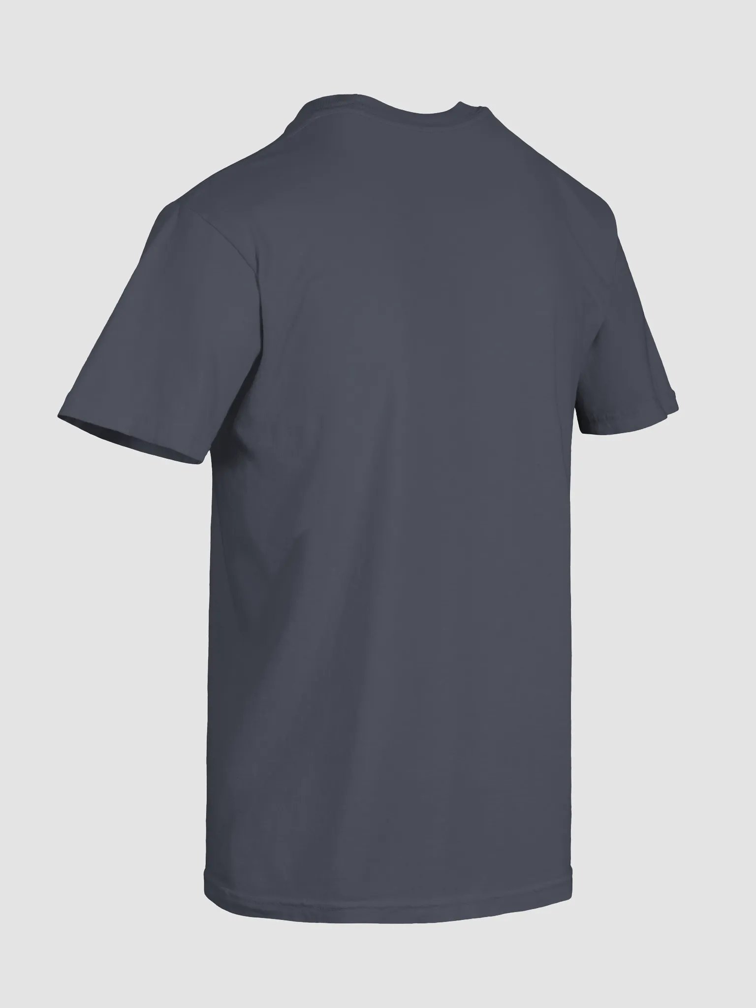 The Most Important Gig Tee product image (8)