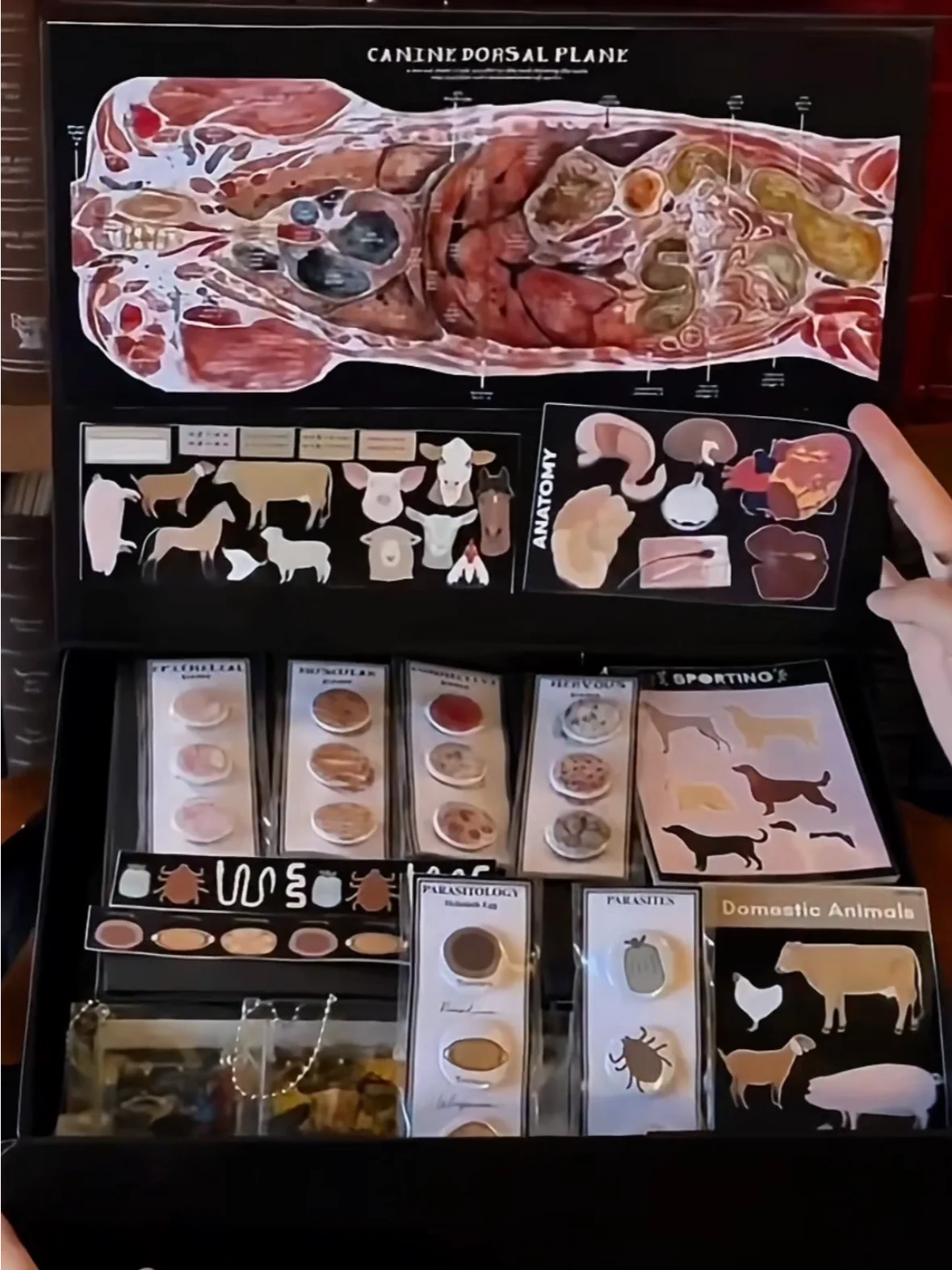 Vet Art Collector’s Gift Box product image (6)