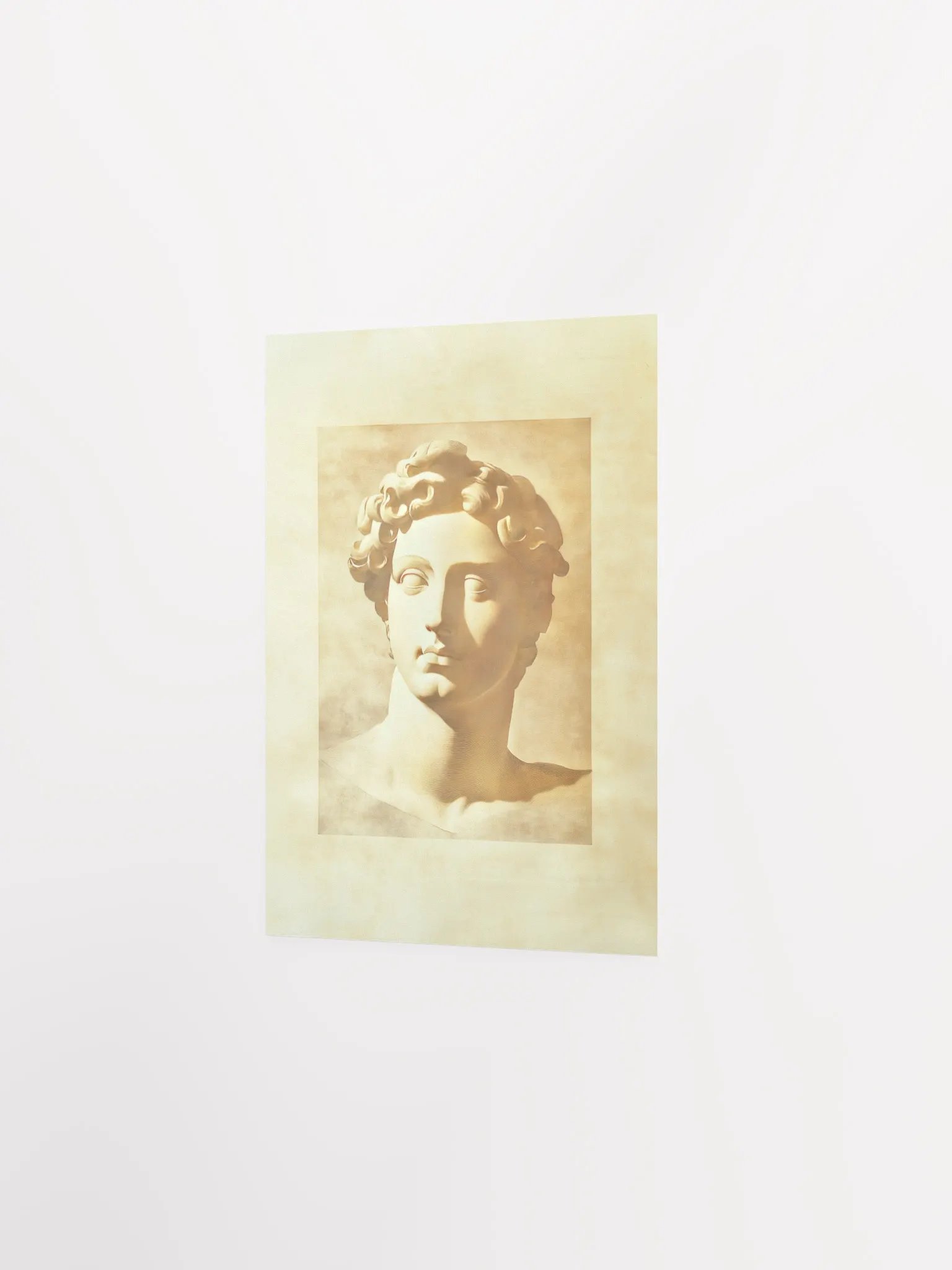 Academia Allure: Classical Revival VI Art Print product image (8)