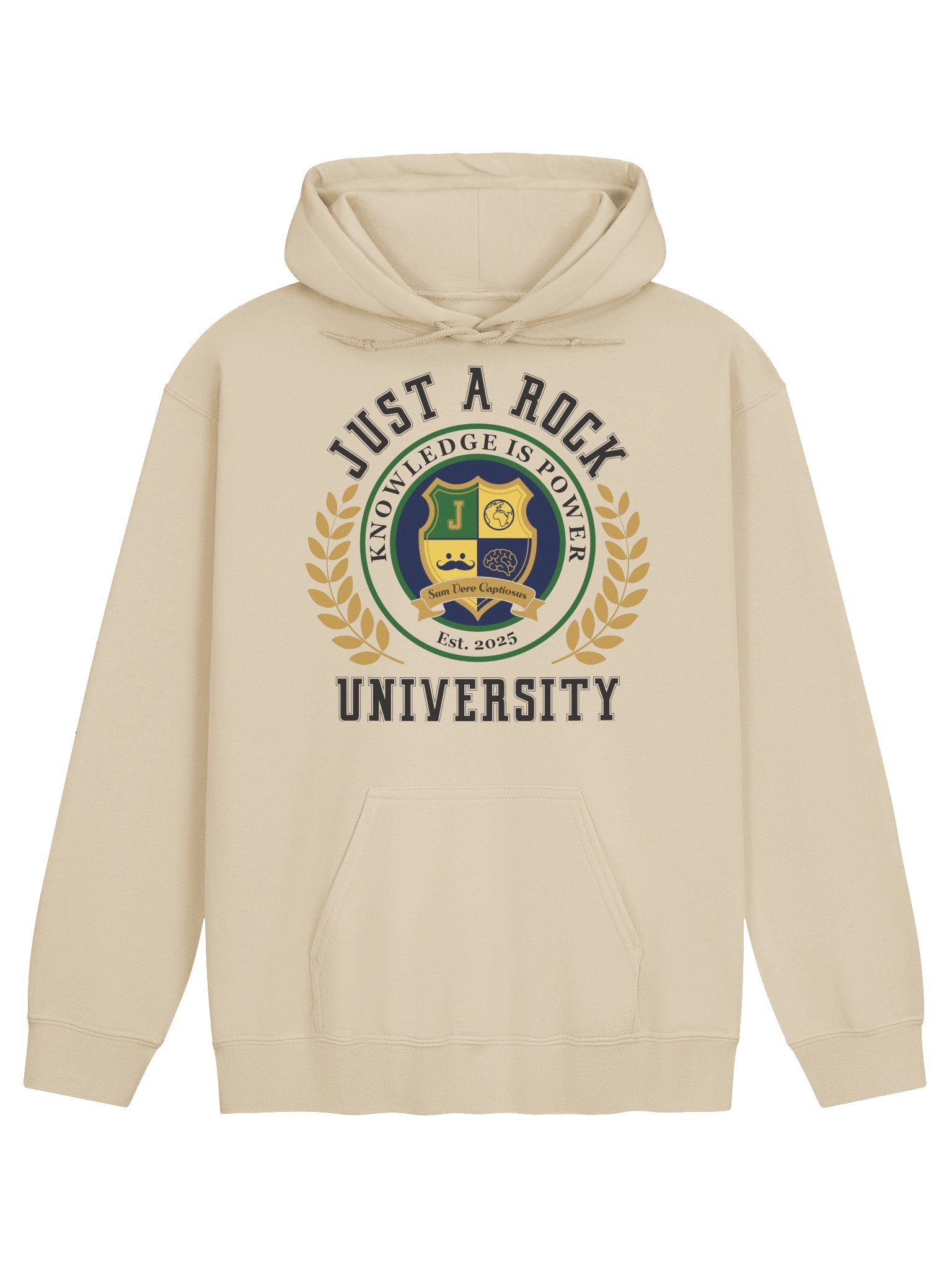 Just a Rock University Hoodie product image (1)
