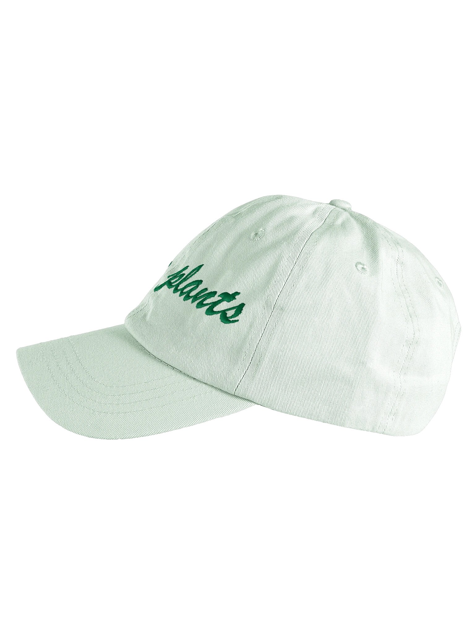 Native Plants Embroidered Dad Hat product image (3)