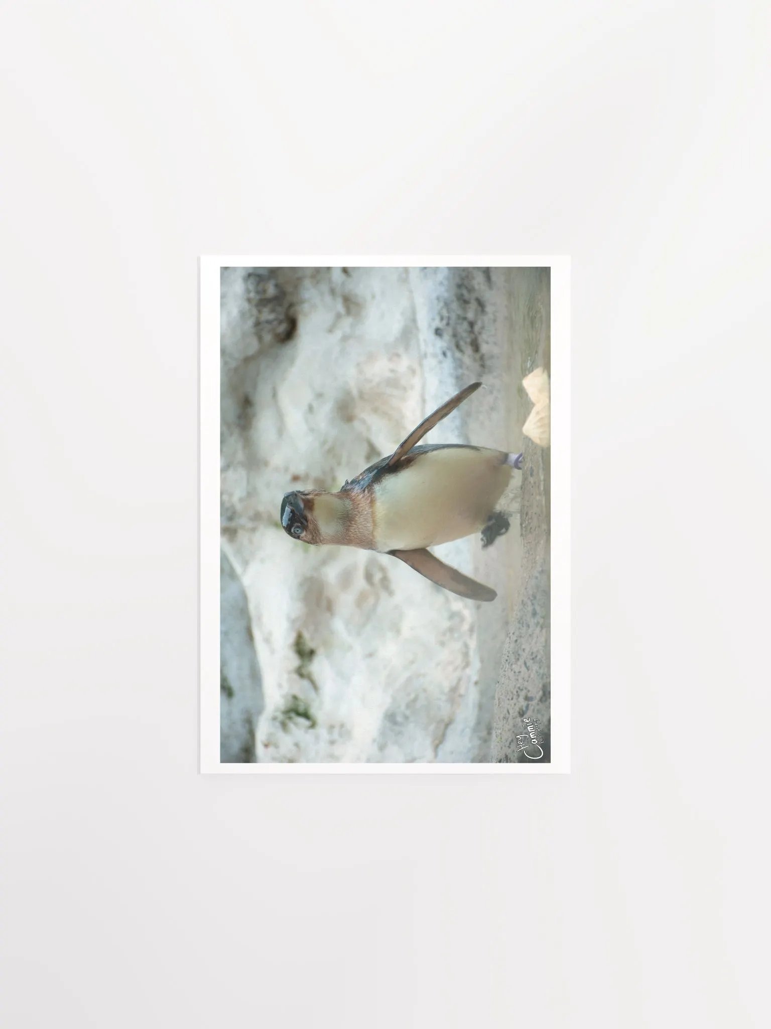 Penguins March - Print product image (1)