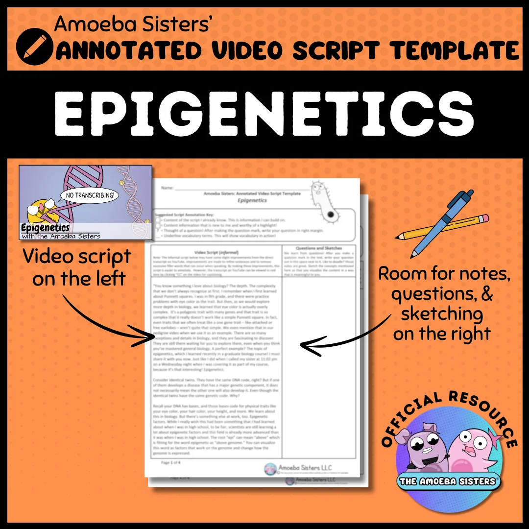 Amoeba Sisters Epigenetics Annotated Video Script Template PDF product image (1)