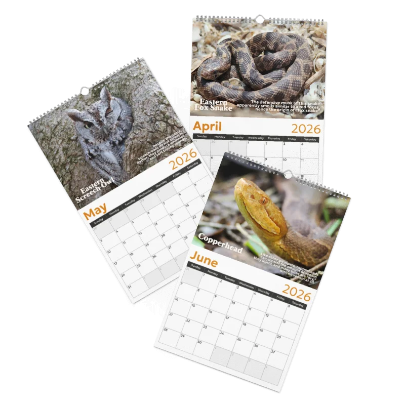 2026 Wall Calendar product image (3)
