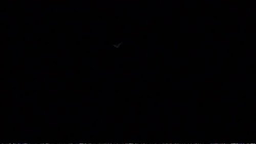 Music Video for @lnerngrofficial 

Calm very calm 

This guys is the most interesting person I’ve ever met 

CDM

Hmu to work...